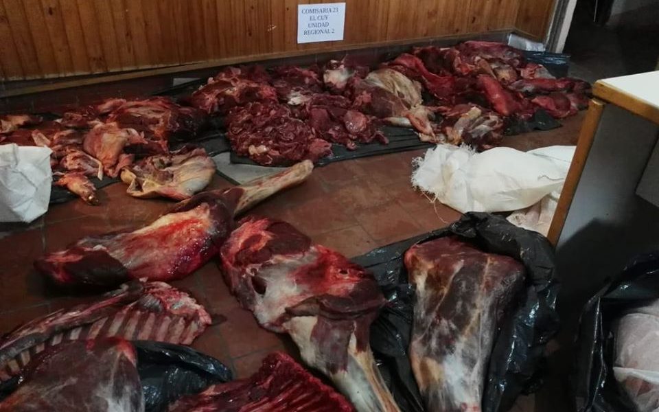 Decomisaron carne faenada ilegalmente en operativos realizados en la Ruta 6 Decomisaron carne faenada ilegalmente en operativos realizados en la Ruta 6