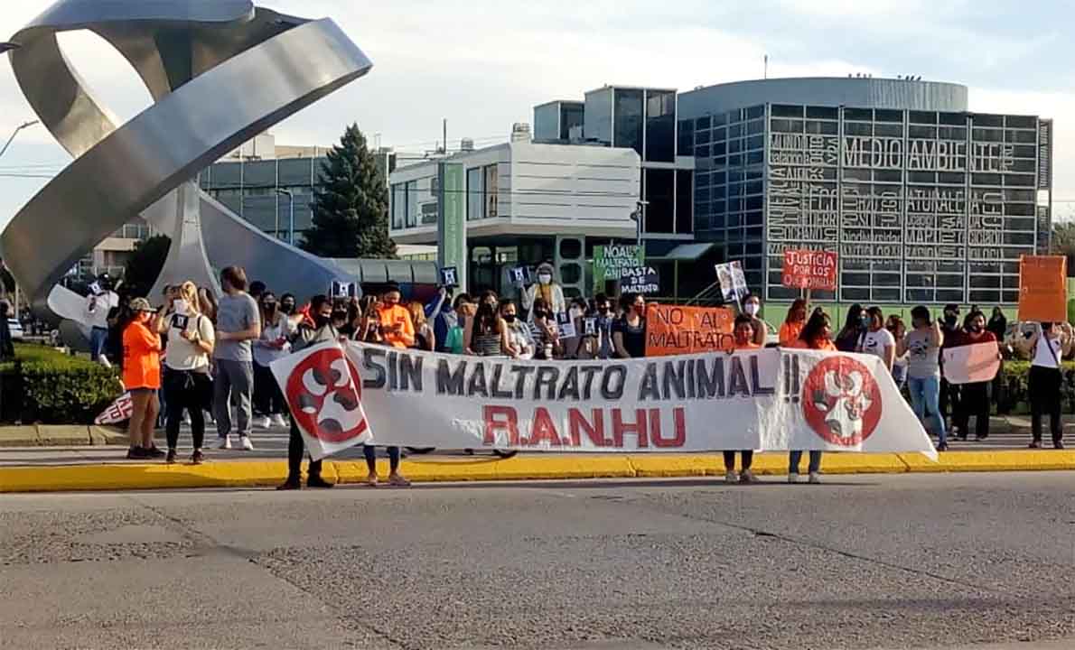 Marchan contra el maltrato animal en Roca | La Super Digital